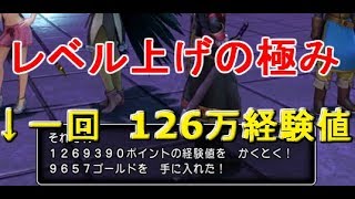 ドラゴンクエスト11裏技的レベル上げ 一気にレベル99に 経験値100万越えの方法と きせきのしずく 入手方法 ドラクエ11攻略 まったり考察部屋withps5