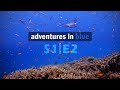 Similan &amp; Surin | Dive into the Boonsung Wreck