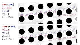 Deformability-based Cell Sorting