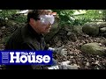 How to Clear Poison Ivy | This Old House