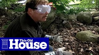 How to Clear Poison Ivy | This Old House