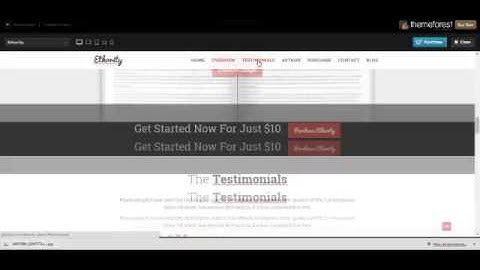 Ethority   One Page eBook Landing +Download Link