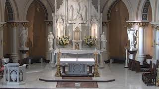 St Joseph Live