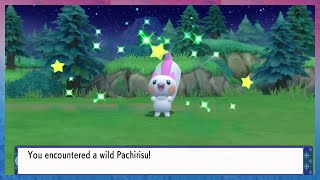 [Live] Shiny Pachirisu after 1,166 REs in Pokémon Brilliant Diamond