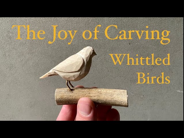 Whittling kit for kids, beginners, basics, projects. Bird carving