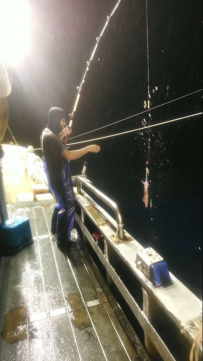 Mancing cumi di kapal taiwan