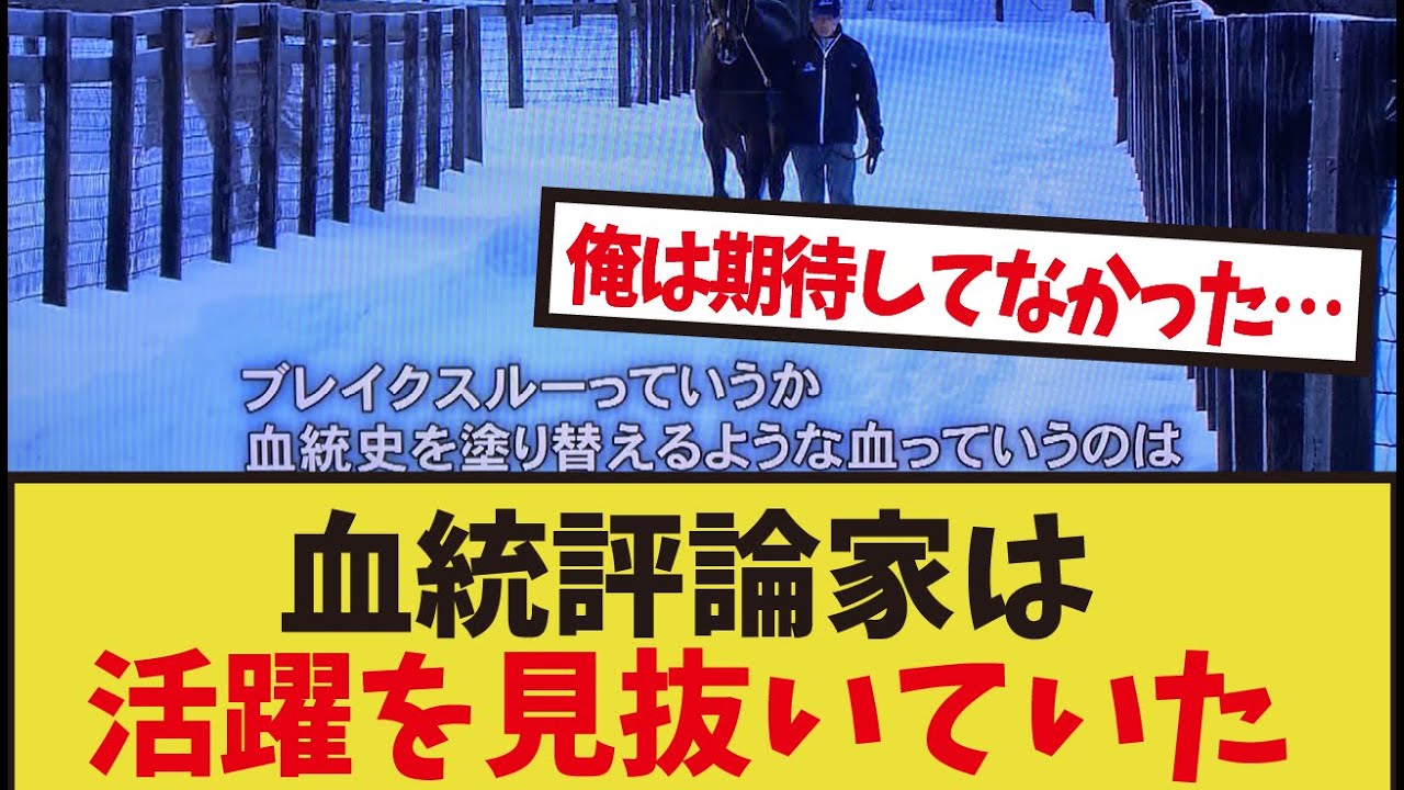 「種牡馬デビュー当時のキタサン」に対するみんなの反応集