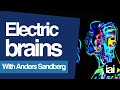 WIREHEADING: From rodents to robots  | Anders Sandberg