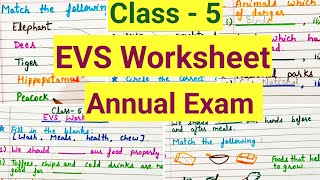 Class 5 evs annual exam Question Paper 2024-25 | Class 5 Exam Paper evs worksheet | part 2