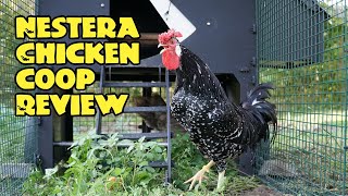 Cleaning and review of the Nestera chicken coop