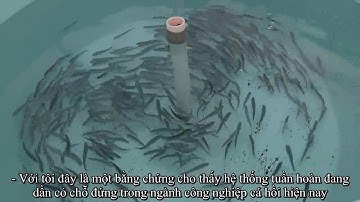 Hệ Thống Bể Kín, tương lai của nuôi trồng thủy sản