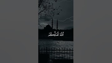 لو لا تستغفرون الله لعلكم ترحمون تلاوة الشيخ سعد الغامدي #quran