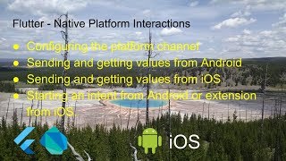 Flutter - Native Platform Interactions