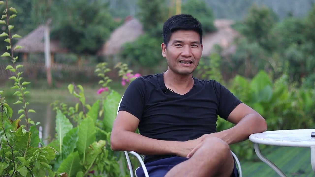 Tây Dương Sâm Có Tốt Không?