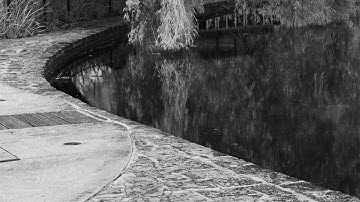 Rollei Infrared with & without an IR720 filter