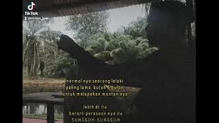 story wa bertahan - five minutes