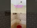 Semi furnished single room bath attached ground floor for rent near kakkanad (Rent : 4800)