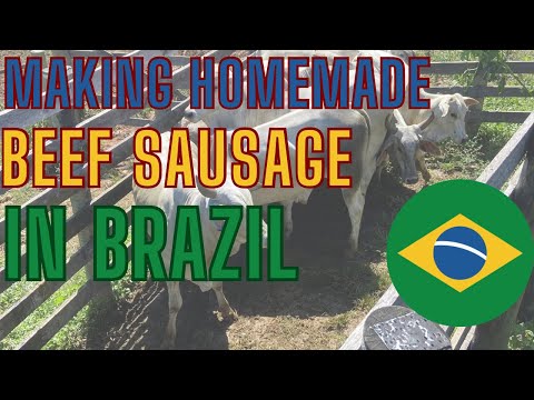 Making Homemade Beef Sausage in Brazil: A Texan’s Guide 🇧🇷🇺🇸