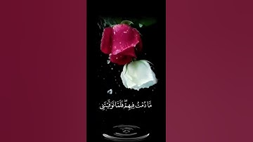 صباح الخير🌹 اجمل حالات واتس اب مقاطع قصيره🌹 قران كريم سورة آل عمران 🌹بدون حقوق