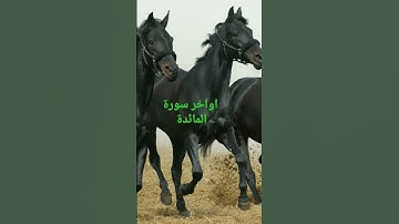 اخر ايات سورة المائدة