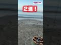 【キス釣り】今年は早い！？キス接岸中！