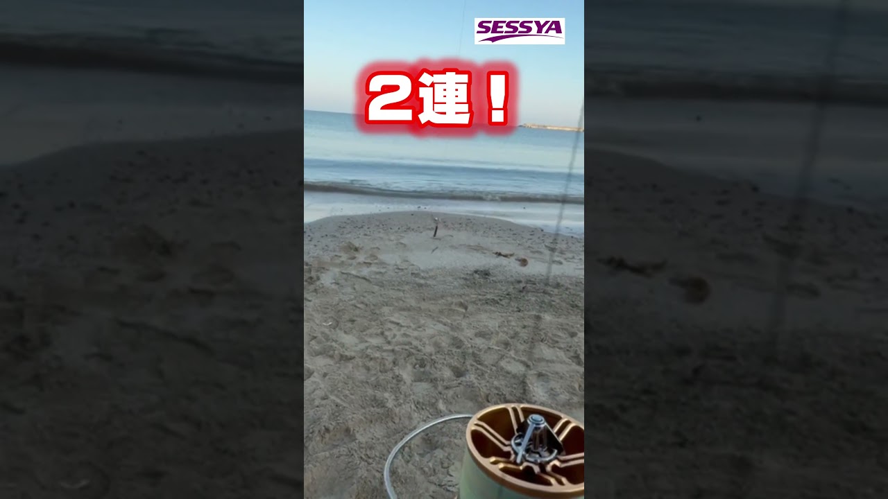 【キス釣り】今年は早い！？キス接岸中！