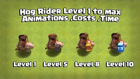 Hog Rider Level 1 to MAX All Animation | Cost | Time | Clash Of Clans
