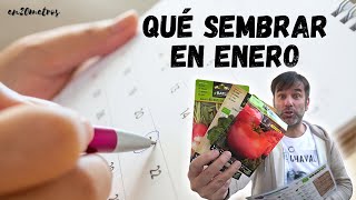 Qué Sembrar En Enero Calendario De Siembra Y Tareas Para Huerta Y Jardín En20Metros