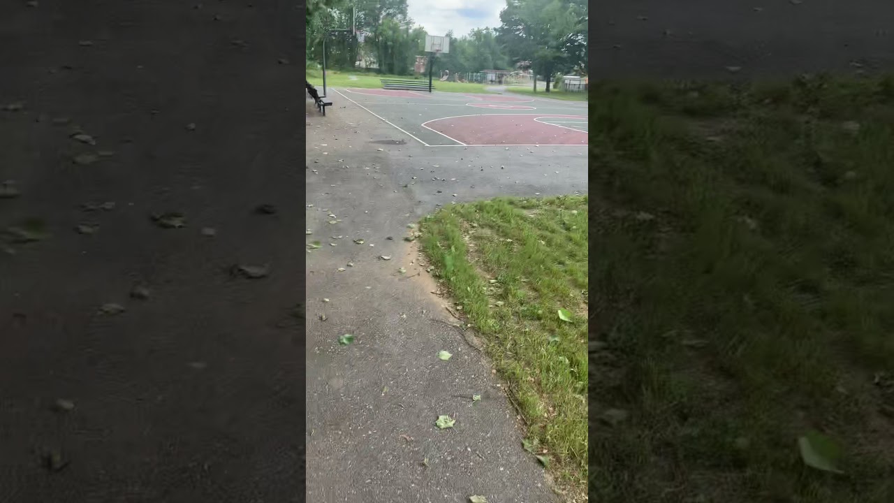 Hawk slaughter Rescue a nice turtle