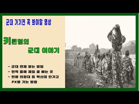 키크는영양제