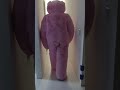 teddybear plushsuit walk