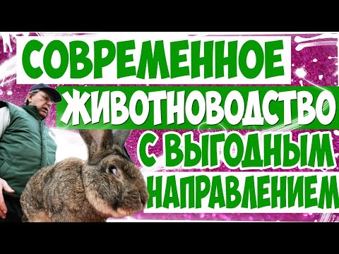 Супер идея!!!Современные бизнес идеи в животноводстве!Бизнес для села!Бизнес для деревни!