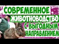 Супер идея!!!Современные бизнес идеи в животноводстве!Бизнес для села!Бизнес для деревни!