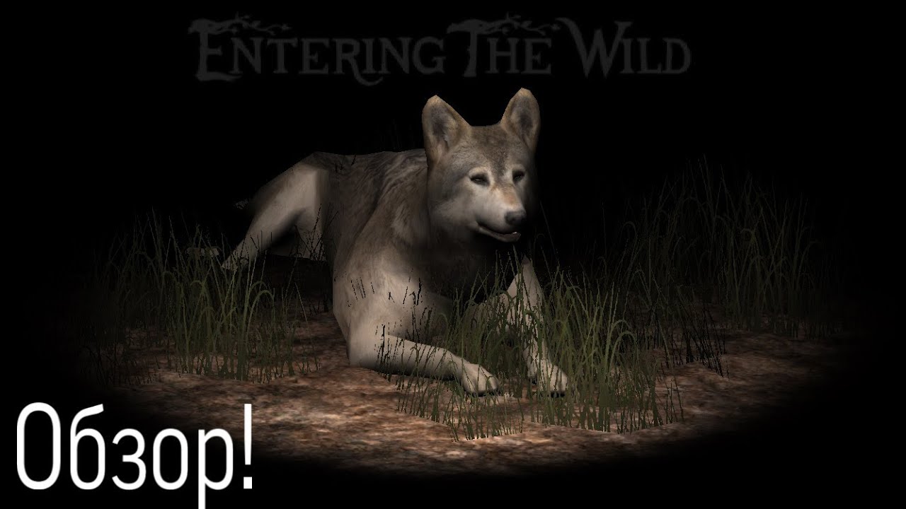 ultimate wolf simulator 2 download