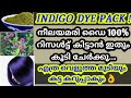 100% Effective നീലയമരി, ചിരട്ടക്കരി ഹെയർ ഡൈ l Natural Homemade Indigo Hair Dye for Grey & White Hair