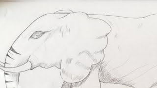 Inktober 2025 Day 14 - Trunk