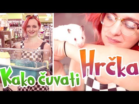 Video: Kako Kupiti Hrčka