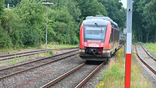 🚆 Triebwagen Lint NBE 648 954-5 fährt ein als RB 73 in Bahnhof Suchsdorf in Richtung Eckernförde /4K
