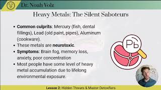 Brain Detoxification & Recovery System