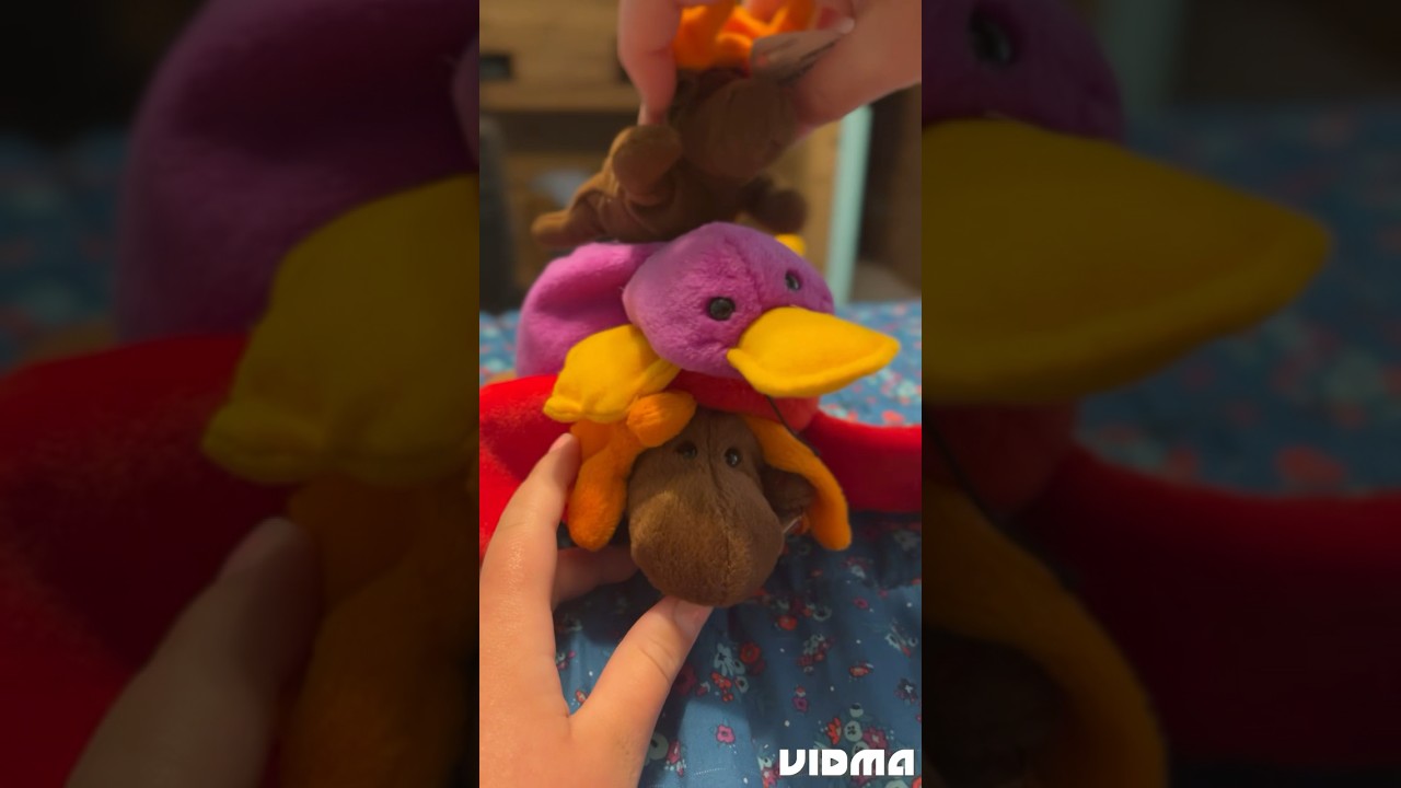 Beanie babie collection check