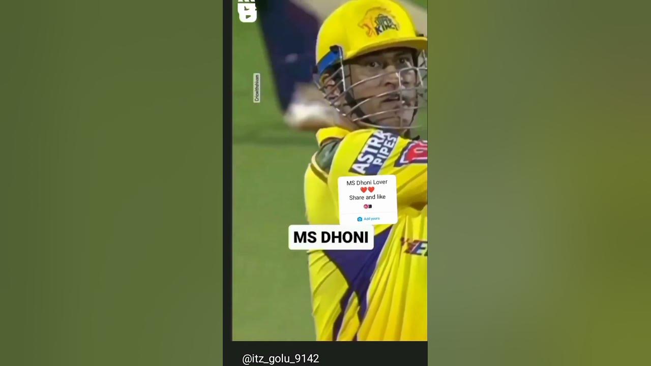 I Love You My Cutie Pie shortvideo cricket csk YouTube i-love-you-my-cutie-pie-shortvideo-cricket-csk-youtube