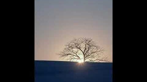 سورة التين للشيخ محمود خليل الحصري ,المصحف المعلم