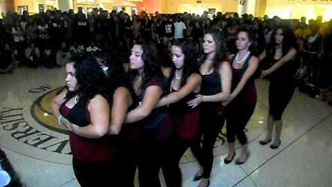 UCF DGC Lambda Theta Alpha Salute