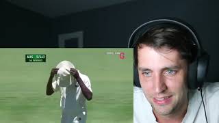 American reacts to Biggest Cricket Fights EVER