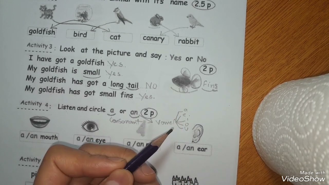 نموذج اخر لامتحان الفصل الثالث ،لغة انجليزية للسنة الثالثة ابتدائي