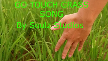 go touch grass song