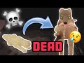 MY FAMILY DIED AND I GOT KICKED OUT OF THE PACK! | Wolves&#39; Life 3 Roblox