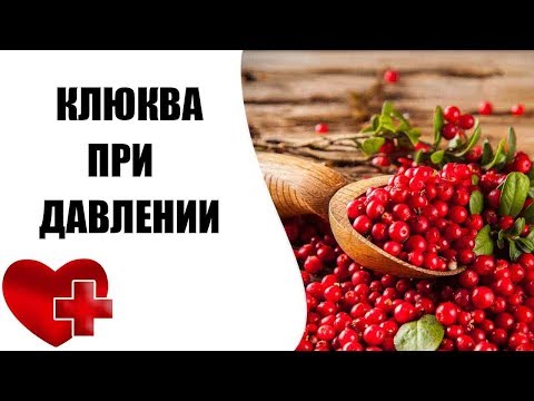 Клюква повышает давление или понижает?