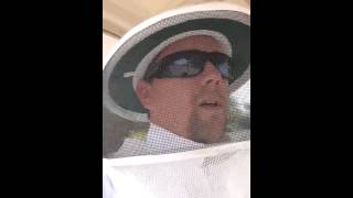 IMG 0558 MOV