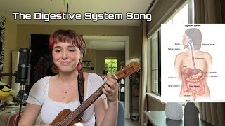 Video thumbnail of "The Digestive System Song"